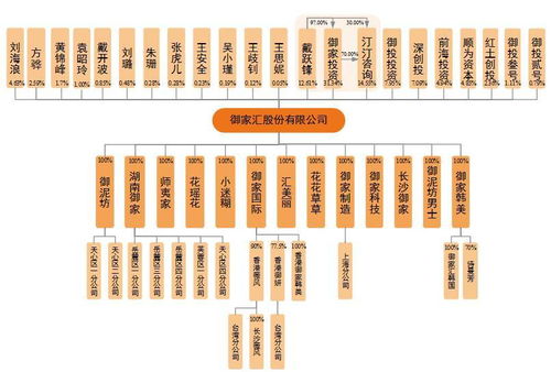 御家匯IPO周三上會 年入11億背后，面膜業(yè)務與軟件及輔助設備批發(fā)的商業(yè)邏輯