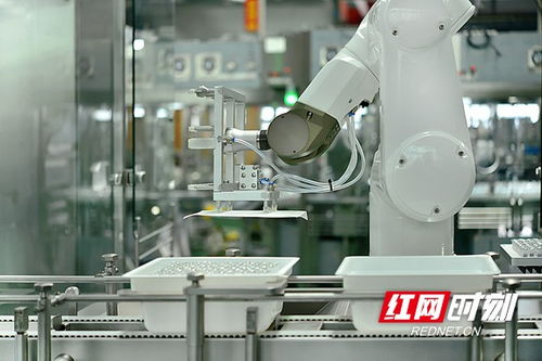 搶占智高點 智能制造驅(qū)動寧鄉(xiāng)經(jīng)開區(qū)高質(zhì)量發(fā)展，智能機器人研發(fā)成引擎